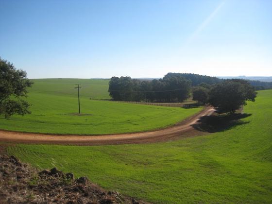 Campos muito verdes