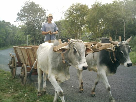 Foto do capítulo 5