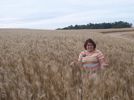 Eu no campo do trigo