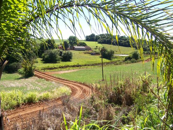 Campos sempre verdes e completamente plantados
