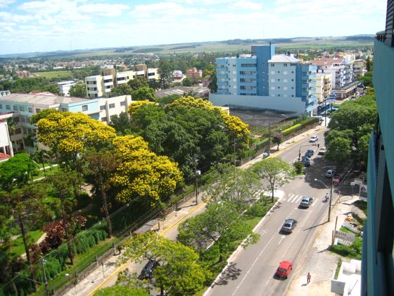 Vista da Avenida Medianeira a partir da varanda de nosso apartamento