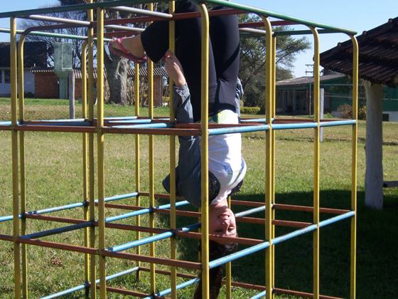 Foto do capítulo 20