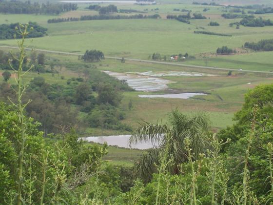 Foto do capítulo 20