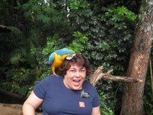 Foto do capítulo 24