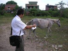 O evangelho é para todos