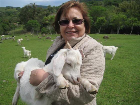 Foto do capítulo 31
